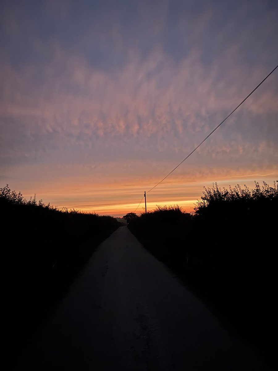 The morning walk with the 😄#delidogs accompanied by natures show.