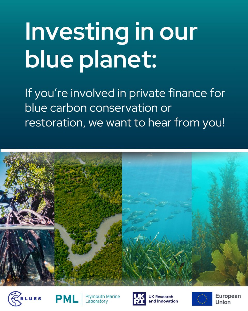 PlymouthMarine's tweet photo. Do you work in private #finance for #BlueCarbon #conservation or #restoration in Europe? Could you spare just 1 minute of your time to share your views to help us better understand the finance &amp; investment of #BlueCarbonEcosystems? You can take part here: https://t.co/PVKnbJuXTT https://t.co/kcHVnaEocq