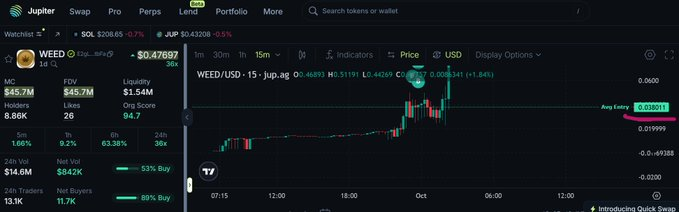 unicacatz tweet media