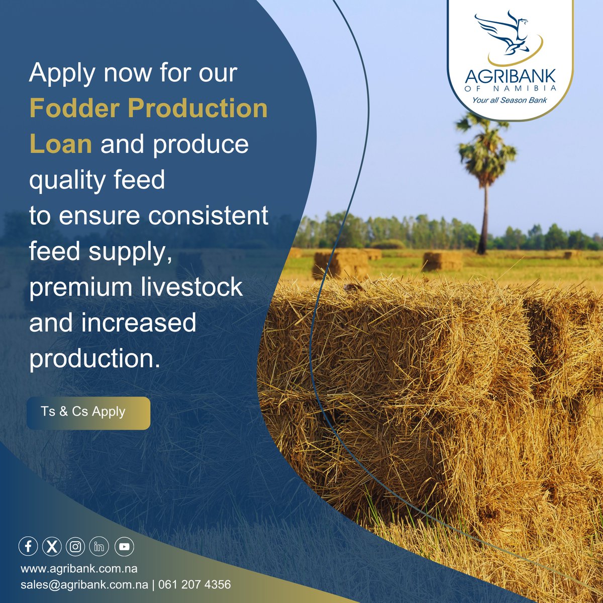 Apply now for our Fodder Production Loan and produce quality feed to ensure consistent feed supply, premium livestock and increased production.