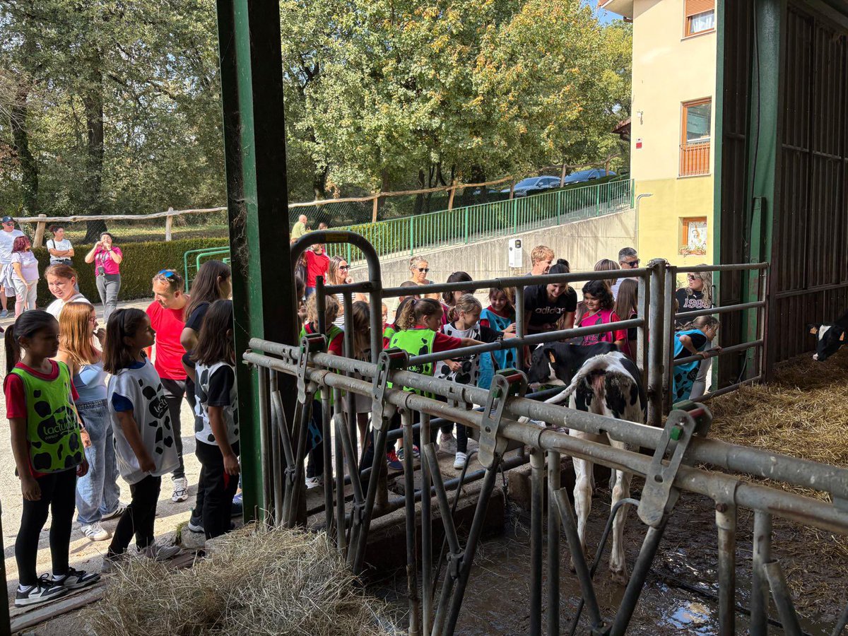 🐮 ¡Este fin de semana nuestros equipos más jóvenes estuvieron de visita en <a href="/Leche_Lacturale/">Lacturale</a>!

☺️ ¡Cómo disfrutaron! ☺️

#SienteElOrigen ❤️🖤