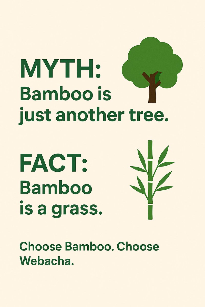 Bamboo isn’t a tree 🌳 it’s a grass 🌱.
Yet it’s stronger than steel &amp; lighter than wood.
Eco is the new luxury ✨.
Would you switch to bamboo for a greener lifestyle? 🤔
#Webacha #SustainableFuture #wednesday #Bamboo