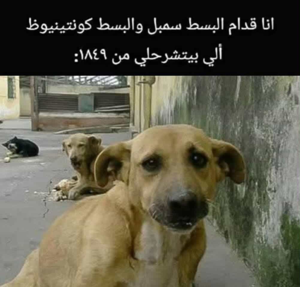 Ö 🇵🇸 (@abdooosama98) on Twitter photo 