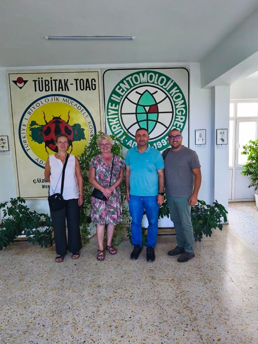 🌱🔬This August, the #ADOPTIPM team (<a href="/INRAE_Intl/">INRAE_International</a> <a href="/unict_it/">Unict</a>) joined Prof. Serkan Pehlivan (<a href="/cukurovauni/">Çukurova Üniversitesi</a>) in Turkey 🇹🇷 to study the Fall Armyworm aiming for more effective monitoring tools and early detection systems.

#HorizonEurope #IPM #SustainableAgriculture #collaborations