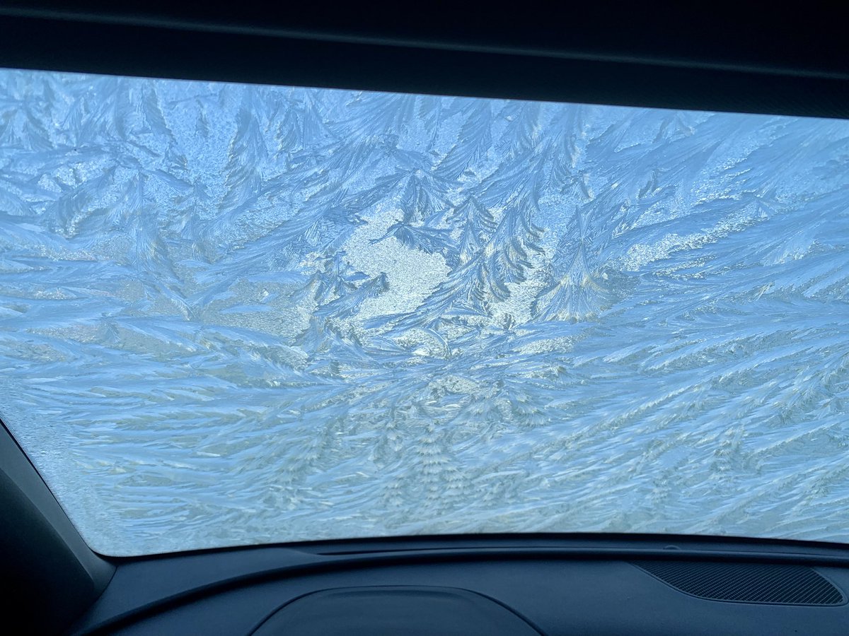 What’s this on my windshield this morning!!!??? #nlwx #cornerbrook