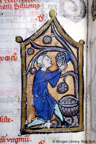 maiteximenez's tweet image. #OCTOBER
#medievallife
#medievalx 
📸Libro de Horas. MS M.97 The Morgan Library (s. XIII).