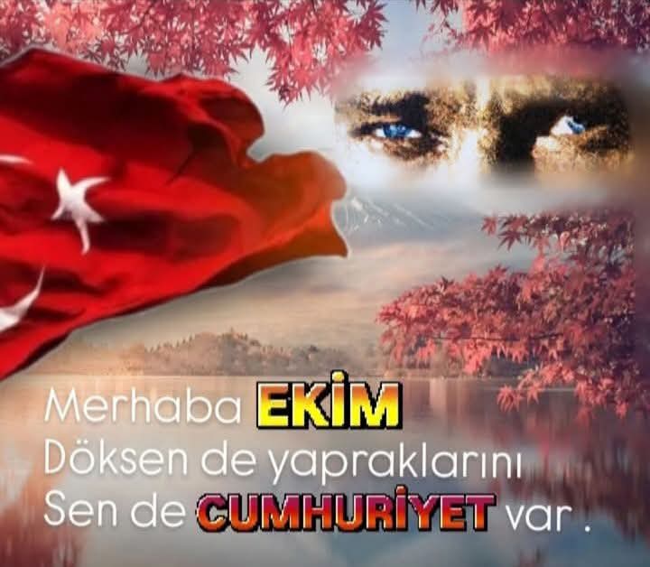 fulya ergün (@fulyaergun07) on Twitter photo 