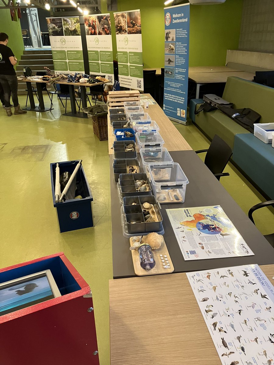 Reddings Team Zeedieren NL tweet media