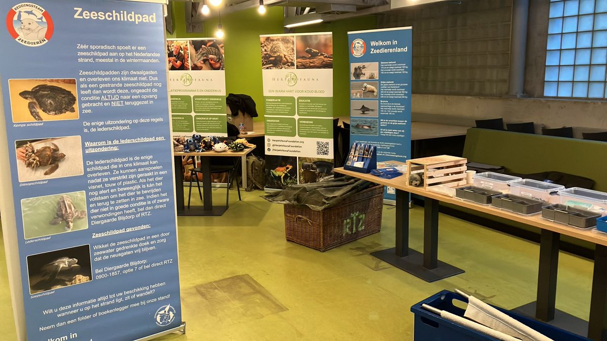 Reddings Team Zeedieren NL tweet media