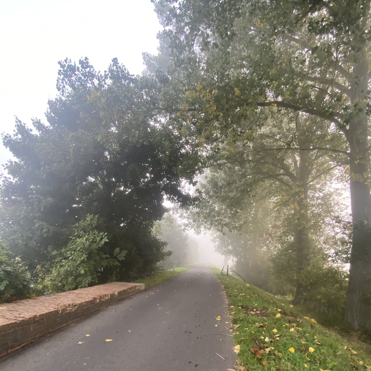 #vrtweer <a href="/Weerbord/">Weerbord☀️☔️</a> <a href="/MeteovistaBe/">meteovista.be</a> <a href="/HetweerinBelgie/">Meteo Reni - Het weer in België</a> <a href="/BuienradarBE/">BuienradarBE</a> <a href="/avstelevisie/">AVS Oost-Vlaamse Televisie</a> <a href="/HendrikRemue/">hendrik.remue@gmail.com</a> 
Heusden, 01/10, 08.38,