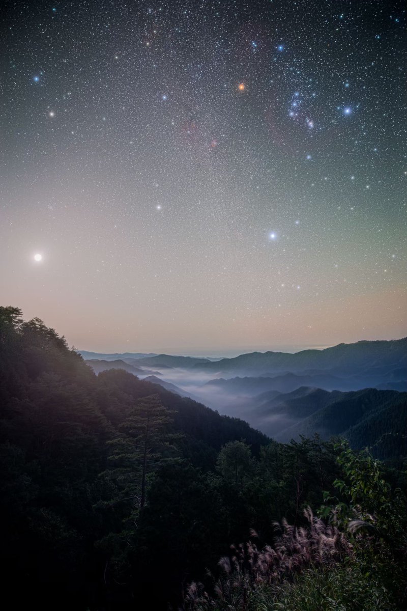 秋の星空がこんなにも美しいなんて…