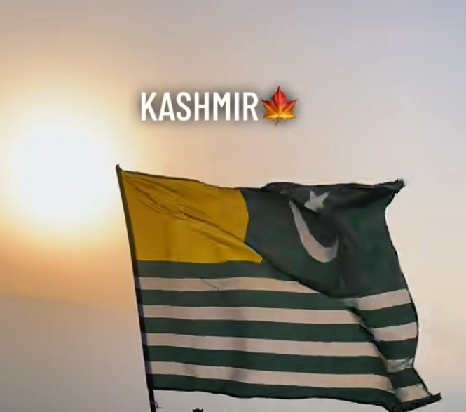 Ironfistmagic's tweet photo. Feeling sad 😢 
#azadkashmirprotest 
#29septmberlockdown https://t.co/UWv1Uk8j1f