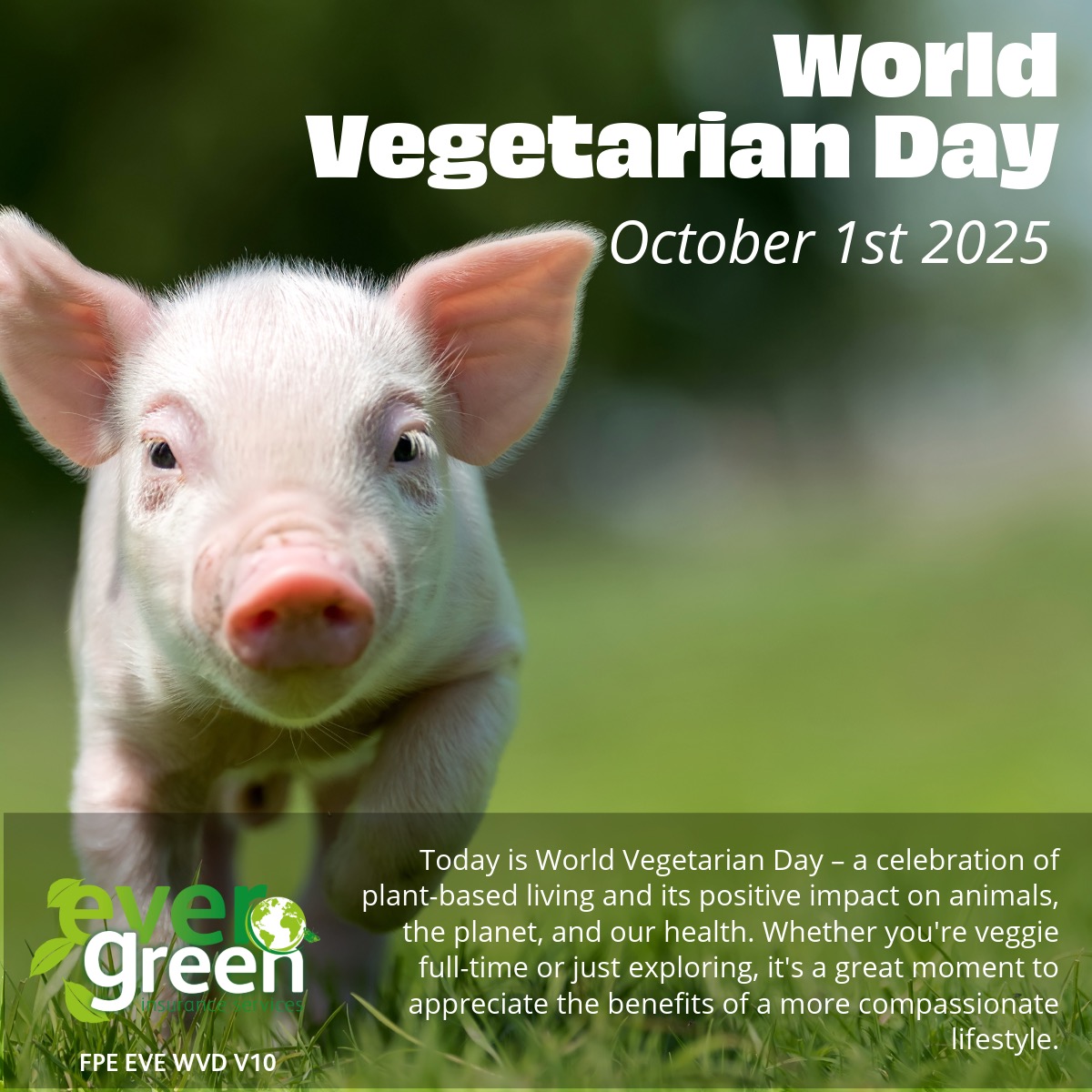 A day to celebrate plant-based living and its positive impact on animals and the planet! 🌱 #WorldVegetarianDay #PlantPowered #KindLiving