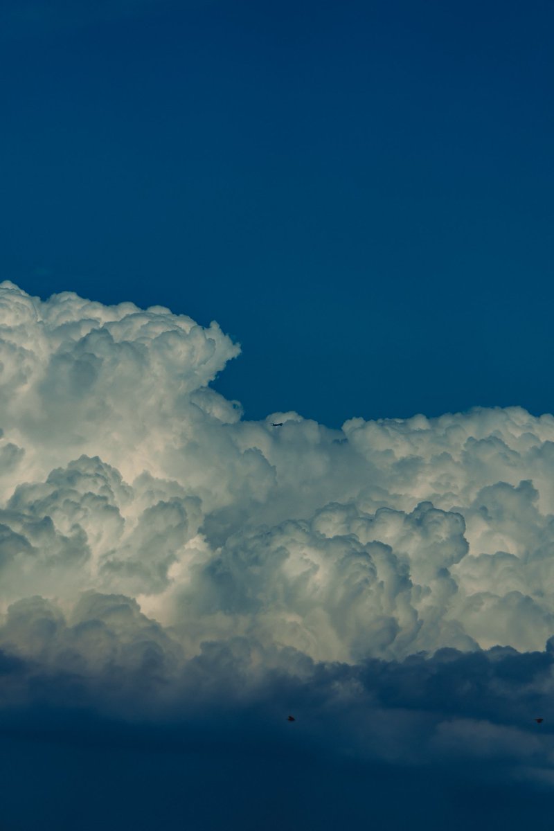 asuka_photo30's tweet image. 