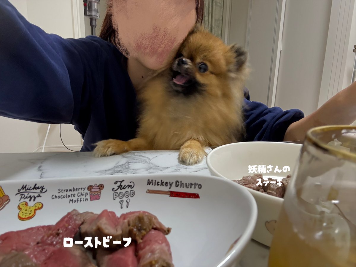 もしゃもしゃな妖精さん(？)

白い妖精さんみたいに座ってられるわけない🤣