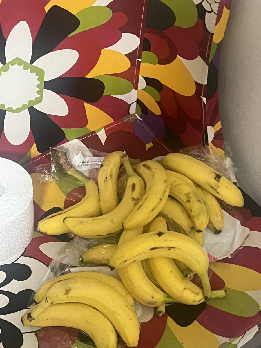 コミュ臆 tweet media