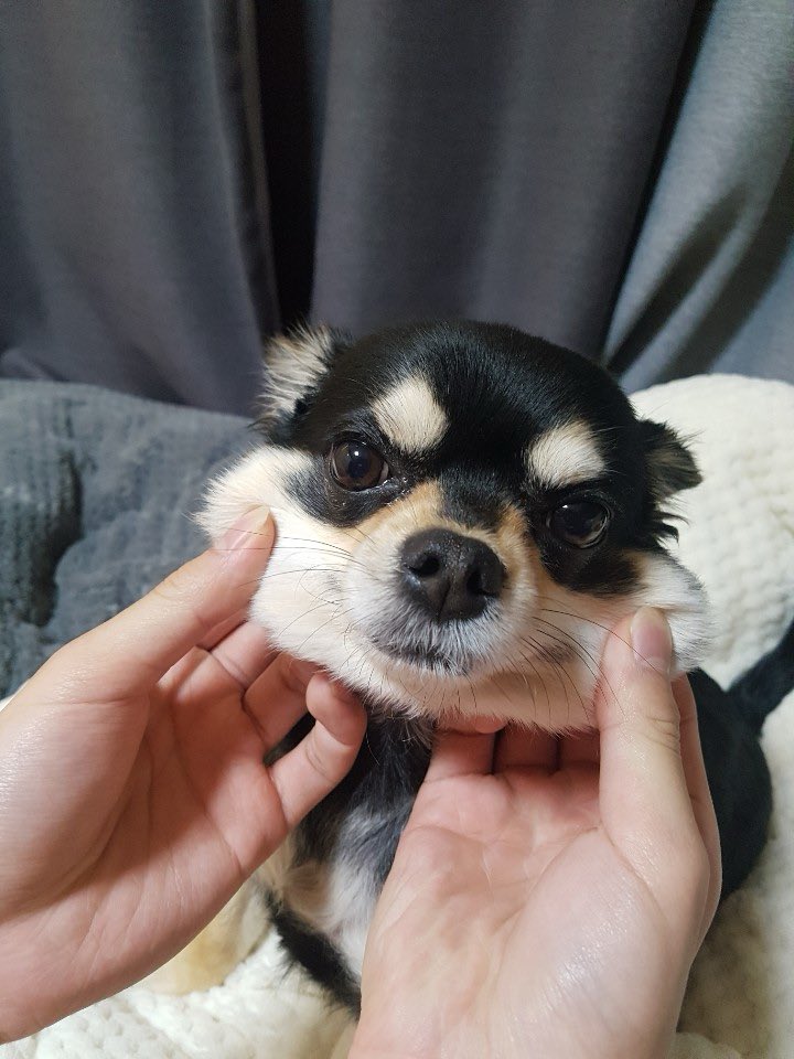 ㅅㅂ 용이야😭😭😭😭😭😭😭😭😭😭