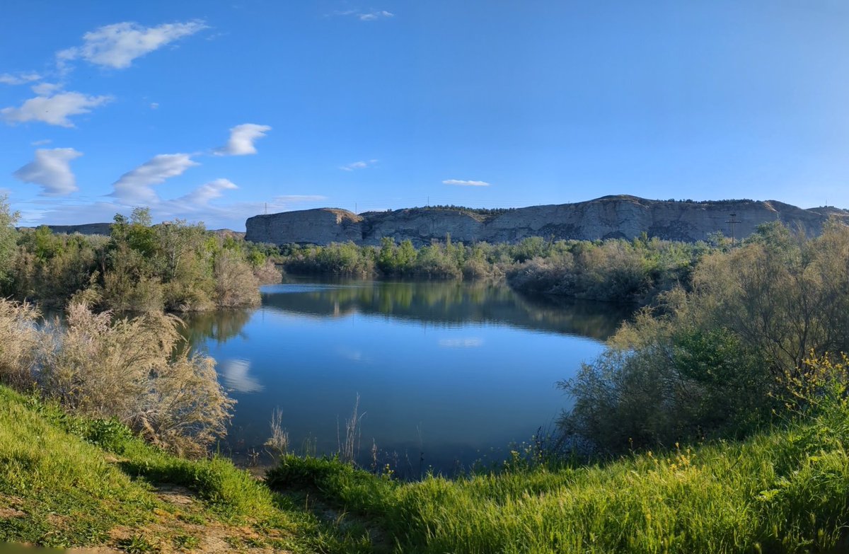 Unoscuantostre1's tweet photo. OFF TOPIC SEMANAL: Galacho de Juslibol (Zaragoza). @ZaragozaTurismo @aragonturismo @spain #galacho #Juslibol https://t.co/UJyYHj5V8l