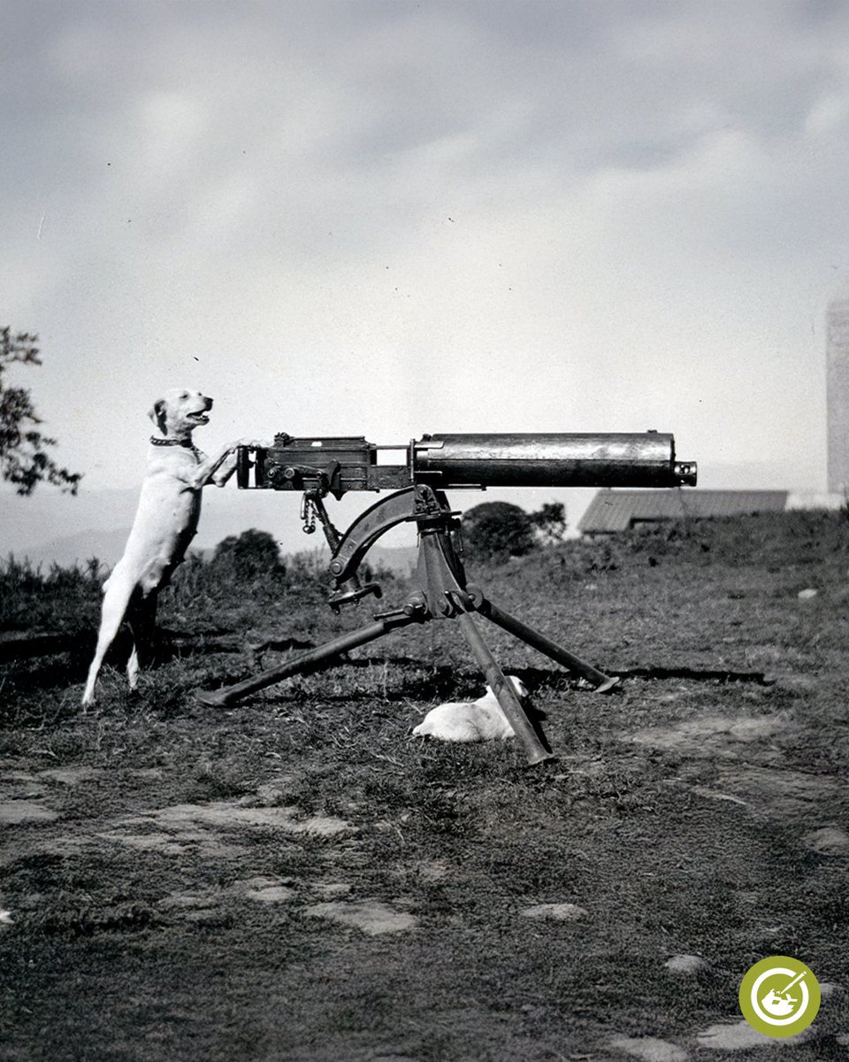 The Tank Museum tweet media