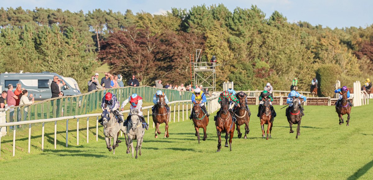 68 declarations across 7 races at Hexham on Friday!

Field sizes - 8, 13, 6, 10, 10, 9, 12

#ComeRacing