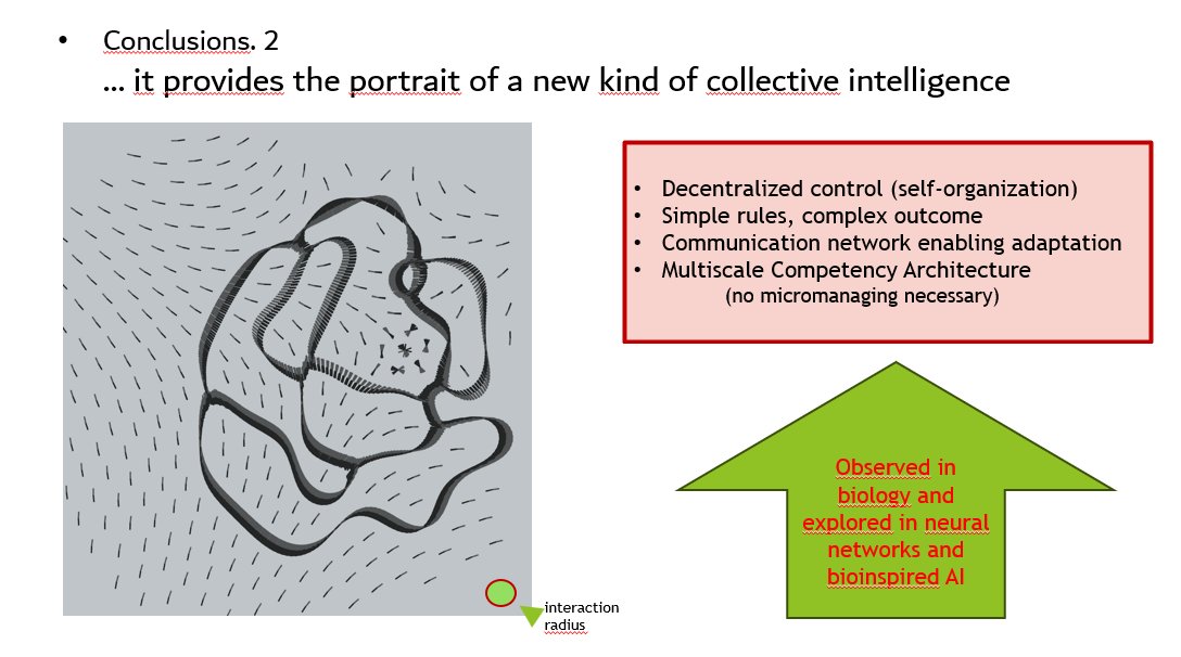 Ale_Scire_Unipv's tweet image. 🥰Looking forward to talk at the upcoming conference #ALIFE2025 #CiphersOfLife...the portrait of a new kind of collective intelligence based on #synchronization and #nonlineardynamics.
#emergence #selforganization #swarming #collectiveintelligence