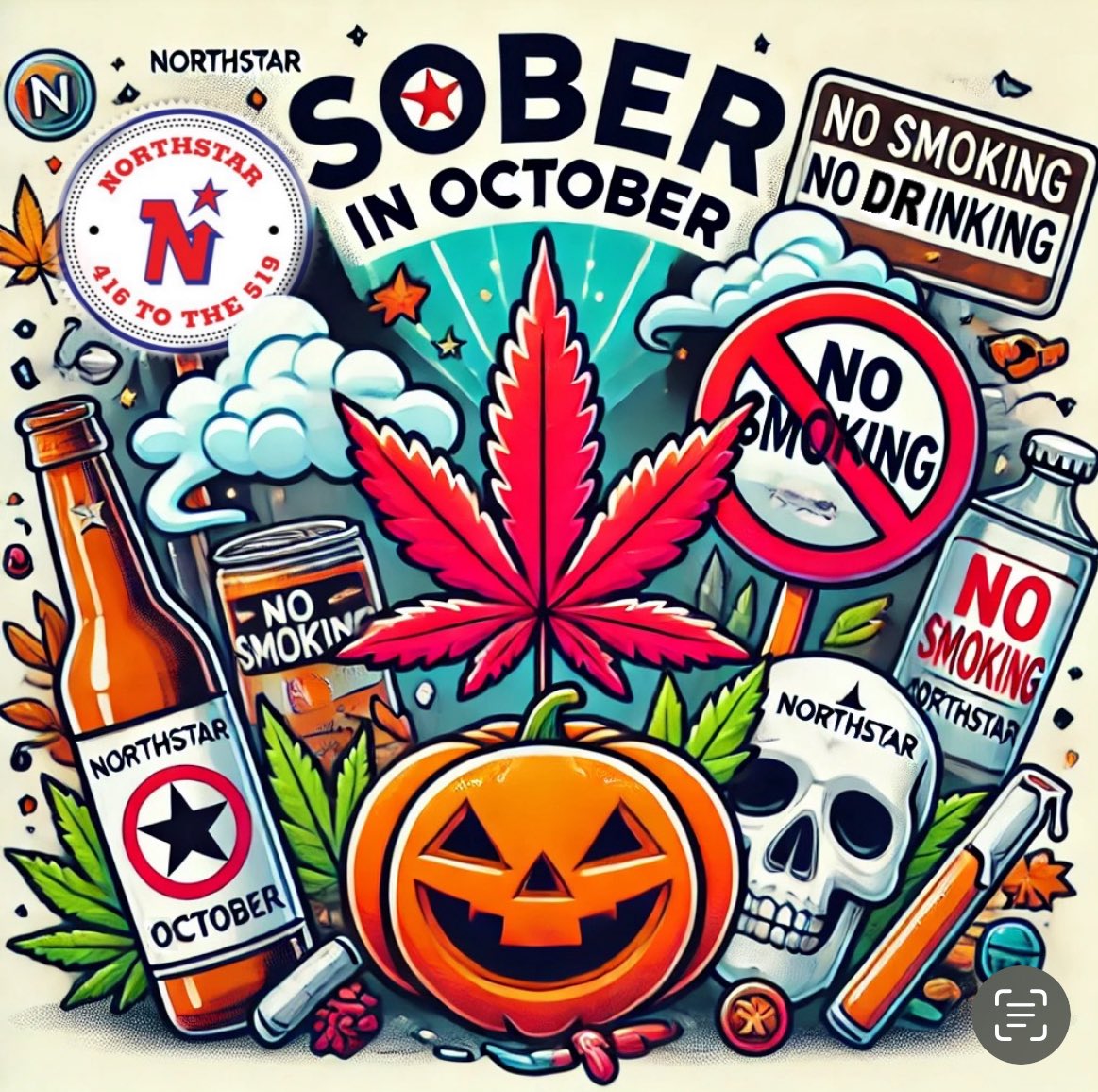 NORTHSTAR tweet media