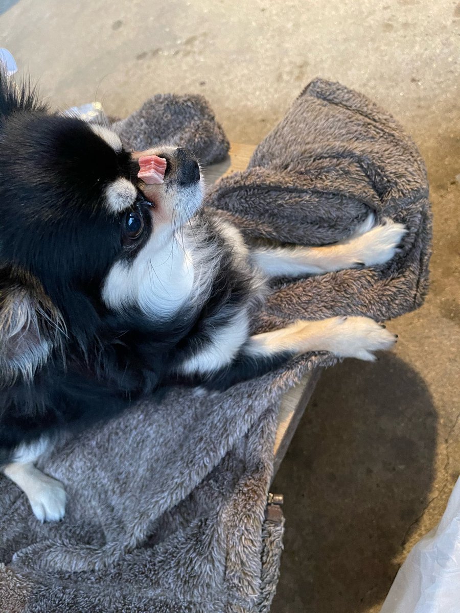 아니아ㅠㅠㅠㅜㅠ아ㅜㅠㅠㅜㅜㅜ