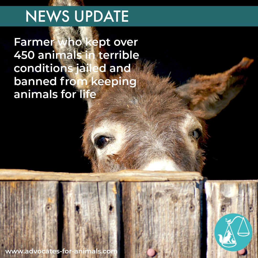 Over 450 neglected animals were rescued in a major RSPCA and police operation in Nottinghamshire. Many were found in appalling conditions, with some too sick to save. The offender received a 12-month prison sentence and a lifetime ban from keeping animals. For more: