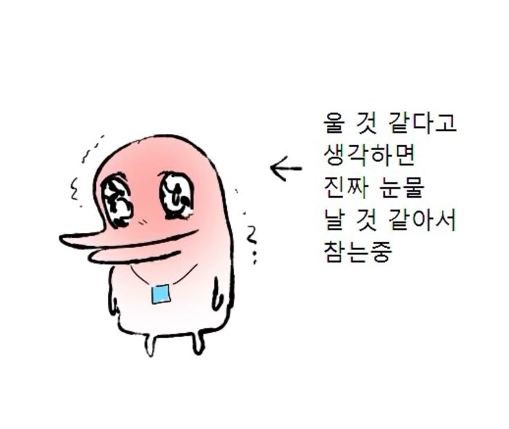 ㄱ 마루머쓱 tweet media