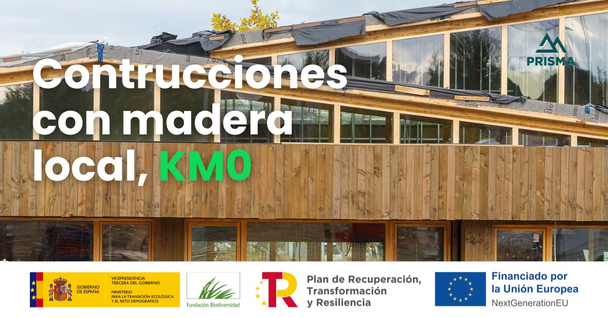 PrismaForestal tweet media