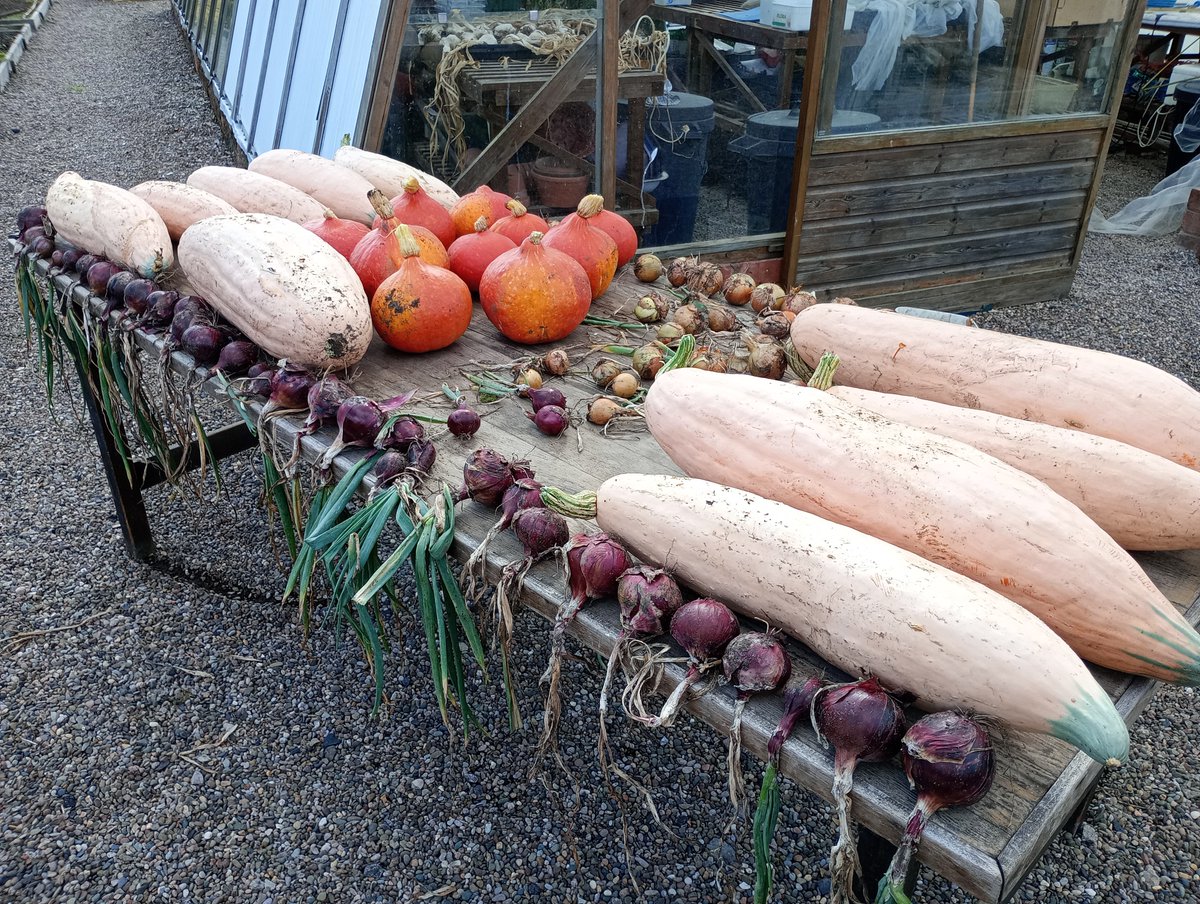 Sr Jessica tweet media