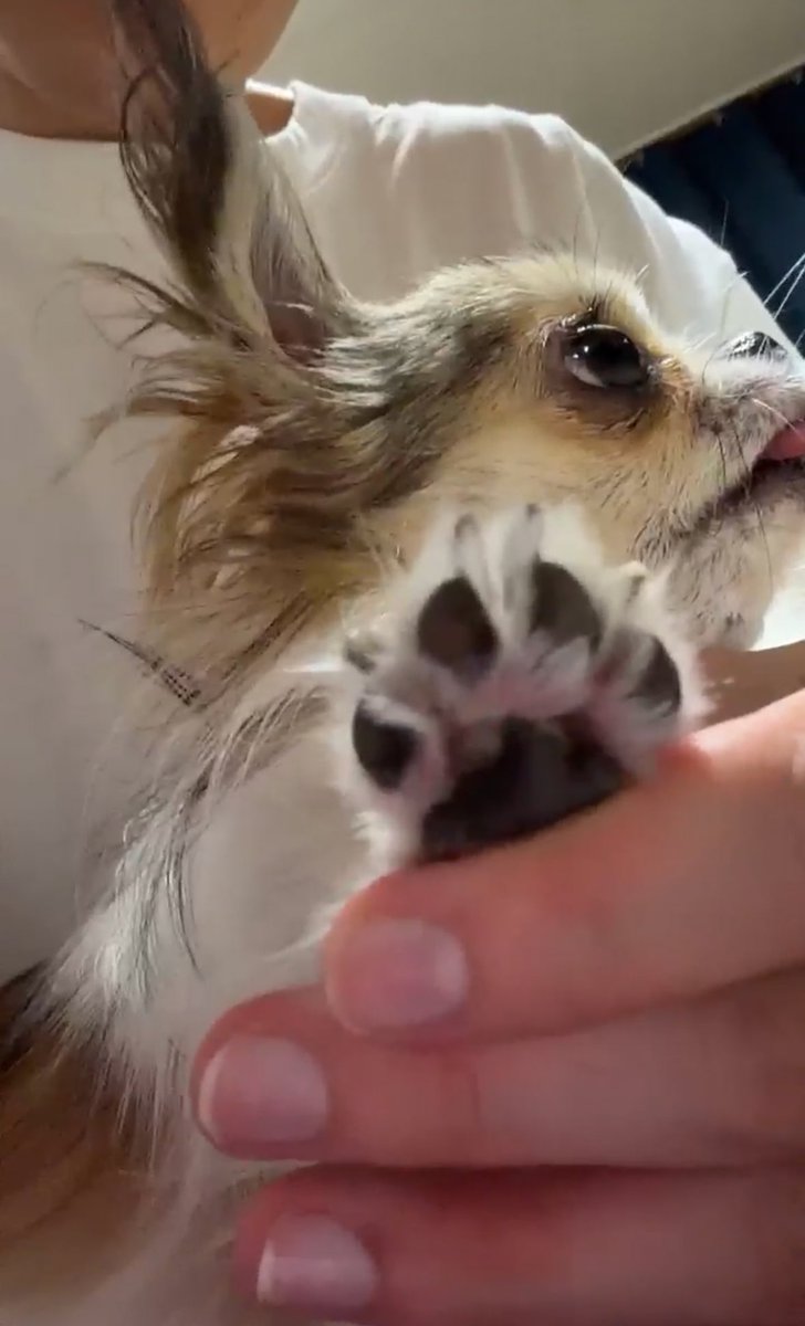 미친 손톱과 발바닥