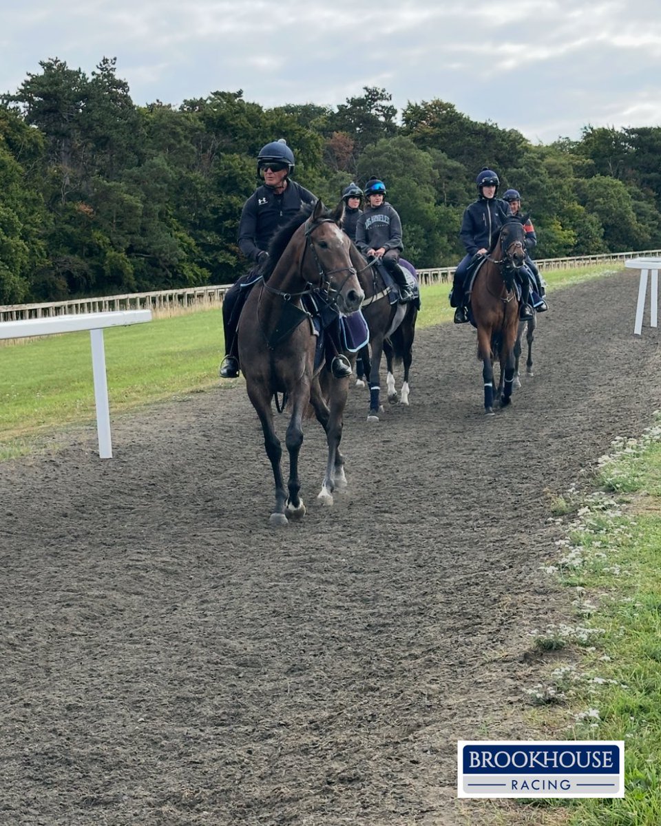 Brookhouse Racing tweet media