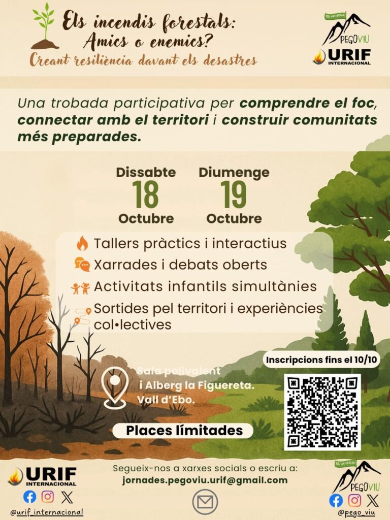 Asociación Recartografías tweet media