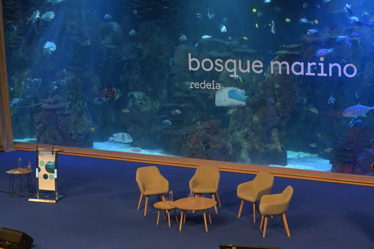 RedeiaCorp's tweet photo. 📢🪸Comienza en Valencia el II Seminario Científico #BosqueMarinodeRedeia.  

Durante dos días, científicos, expertos, administraciones y ONG se reúnen en @Oceanografic_vl para debatir sobre los retos a los que se enfrentan los #ecosistemasmarinos y aportar soluciones innovadoras basadas en la ciencia. También se presentarán los avances de #BosqueMarino este año, algunos en hábitat tan frágiles como la #posidonia o las #gorgonias.

Todos los detalles 👉 https://t.co/jUkP8LVhxZ