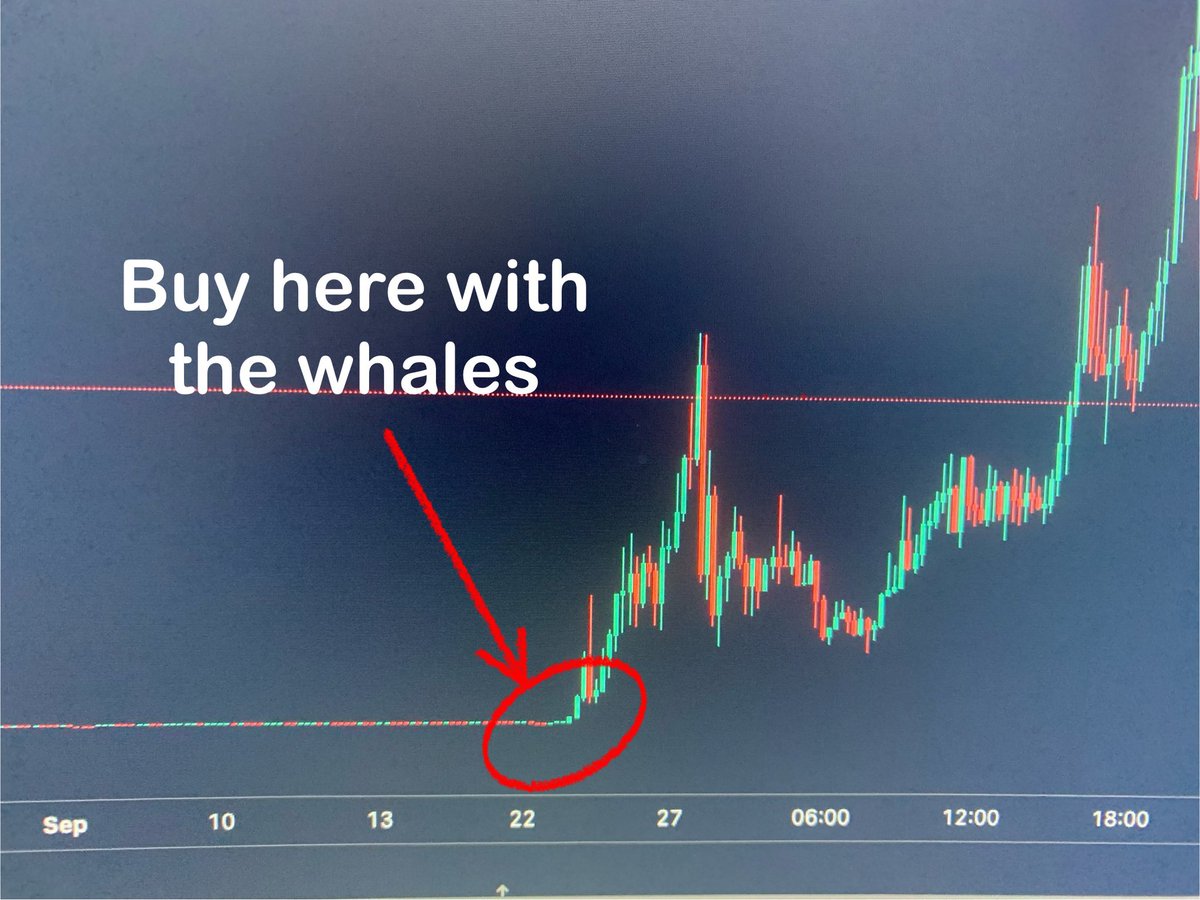 Alpha Cryzar tweet media