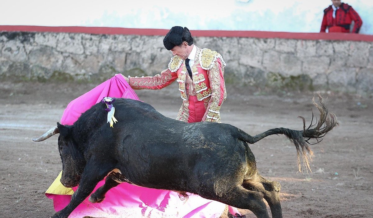 📝 CRÓNICAS

👉 Indulto de ‘El Capea’, a hombros con Sergio Flores, en Aculco
chicuelinasytafalleras.com/cronicas/indul…

📸 Manolo Briones - NTR Toros
