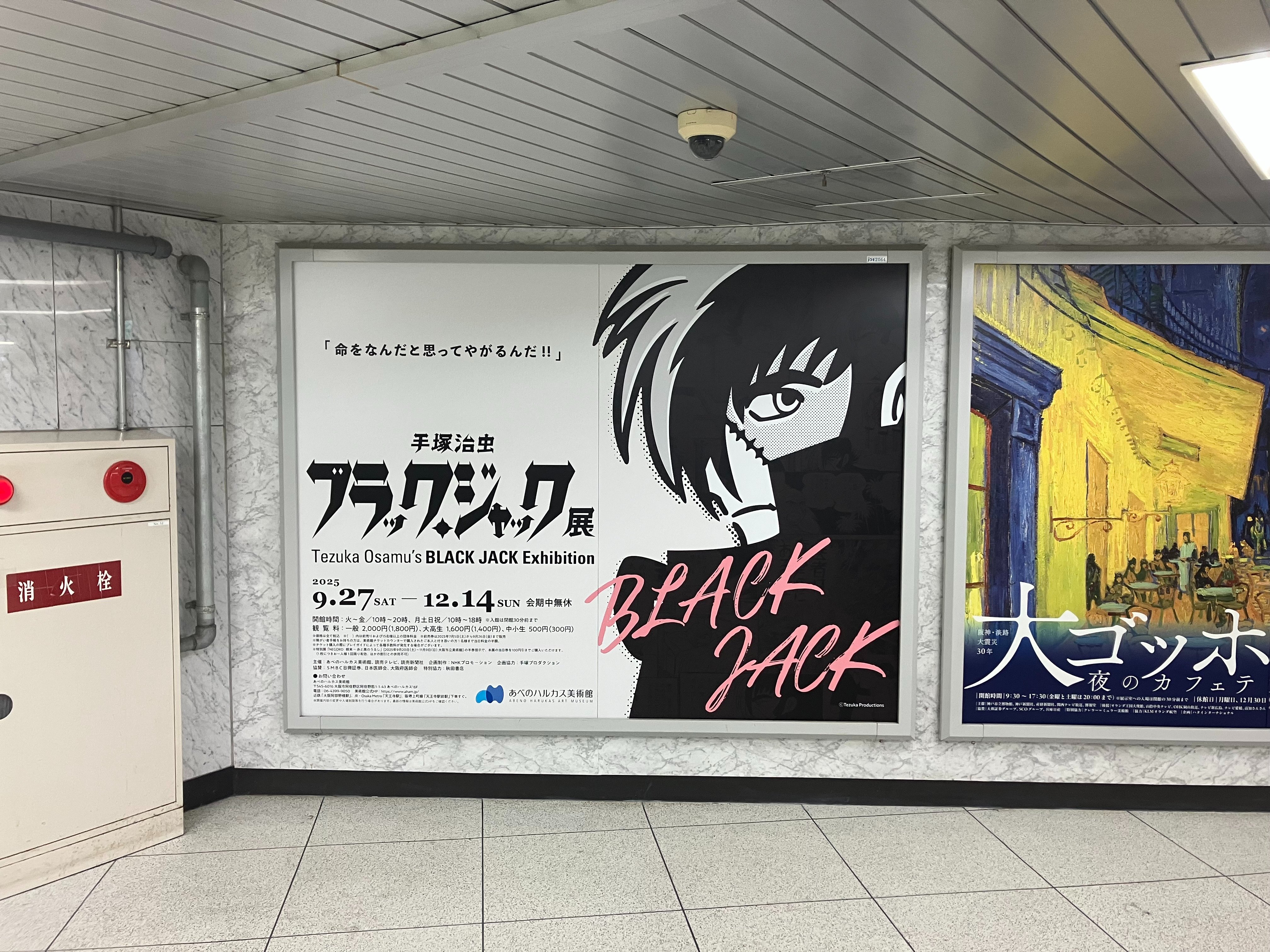 ブラック・ジャック展 ブラック・ジャック展 グッズ情報✨ Black Jack Riders JKT