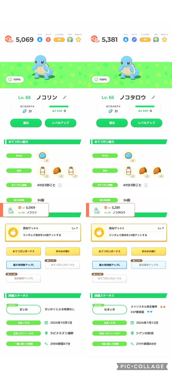 ゼニガメ推し🐢@こもらない寝 tweet media