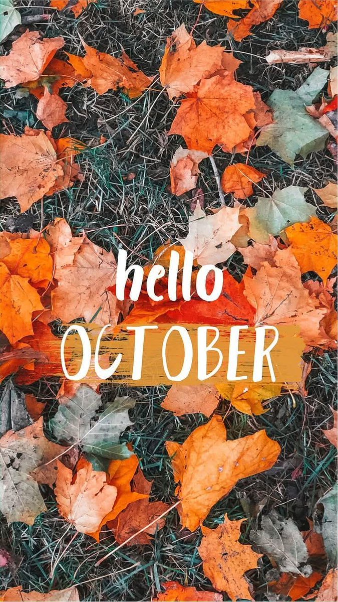 AmyLe2411's tweet photo. Hello Tháng 10 🍁 https://t.co/Xp9jx9ooVS