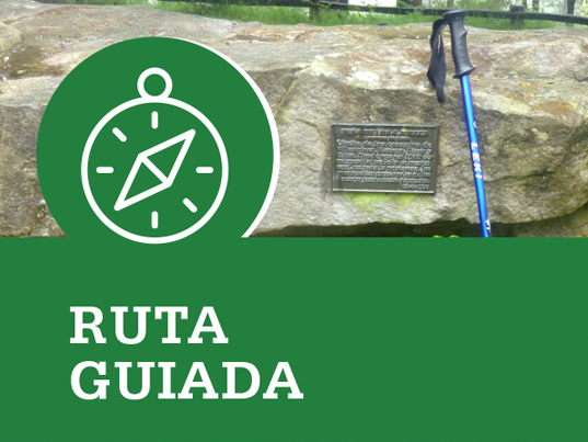 🦅 Día Mundial de las Aves Migratorias. Ruta de "Observación de Aves".

🗓️ 4 de octubre.
🕚 11:00h. a 13:30h.
📍 Centro de Interpretación de la Naturaleza del Monte Deva.

ℹ️👉 gijon.es/es/eventos/rut…
