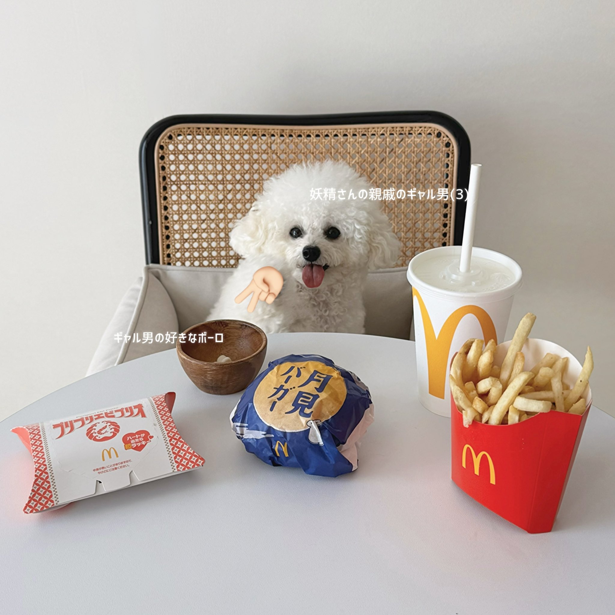 mochi (@0mochi_z) / X