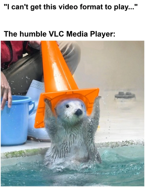 Oridomdom | HUDL 🦙🔥 (Ø,G) 🍊,💊 | 𝔽rAI π² tweet media