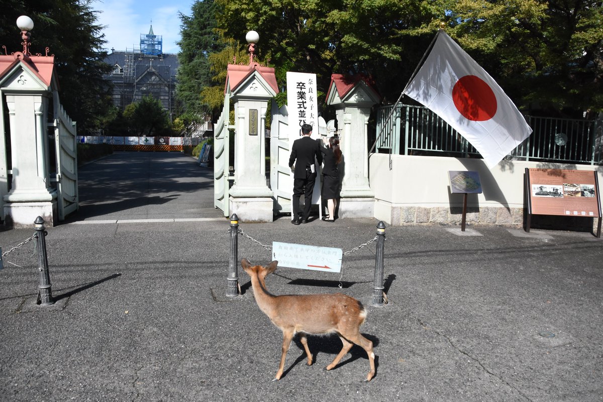 国立〉奈良女子大学 on X
