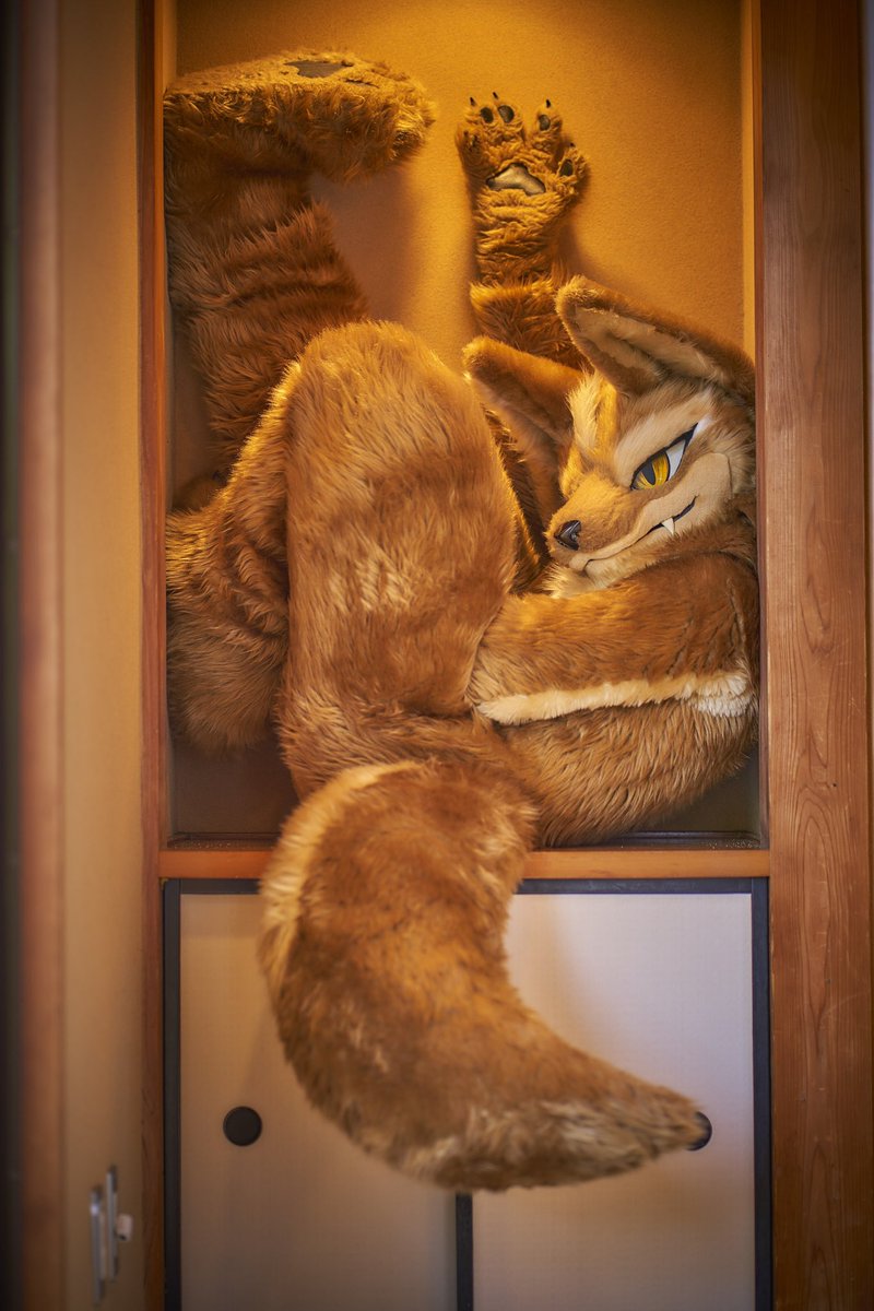 なんか疲れた時って、狭いトコとか椅子の下とか押入れの中とかに入りたくなるよね