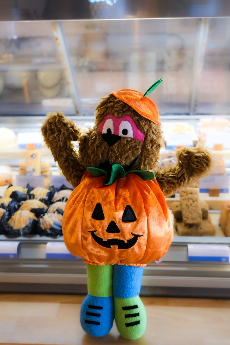 🔍WHERE’S HARRY? 🎃
Harry has gone trick or treating at Houndshill! Can you track him down? 🐾 
Guess where Harry is hiding for your chance to win a £50 voucher from a store of your choice! 👻
⏳The competition closes at 5pm on Wednesday 8th October. Join the Halloween hunt!🦇