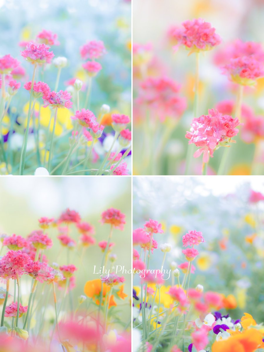 柔らかい空気の中