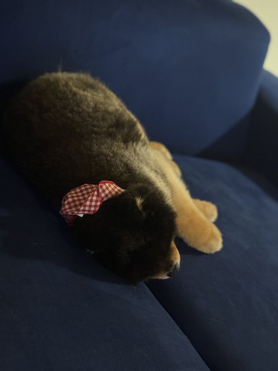 ポメころび❤️ タイトー限定]びちびちホオジロザメころりんギミック2 - メルカリ