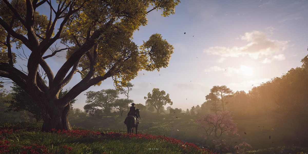 Shadows | #AssassinsCreed #AssassinsCreedShadows