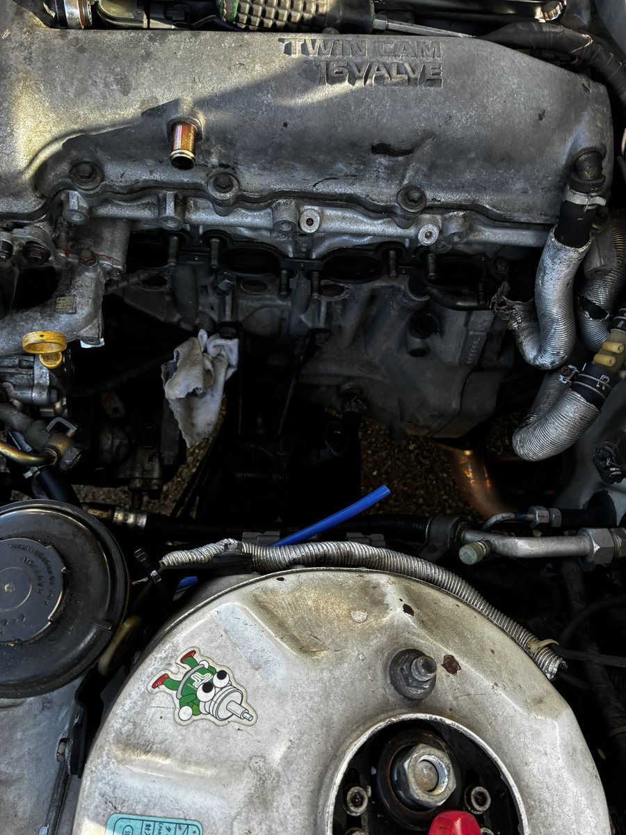 たいよー tweet media